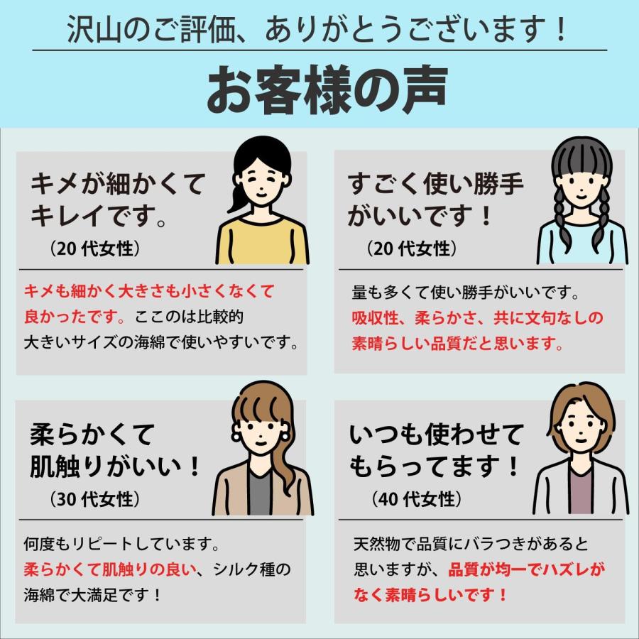 海綿スポンジの人気おすすめランキング15選【使い方は？デメリットもある？】｜セレクト - gooランキング