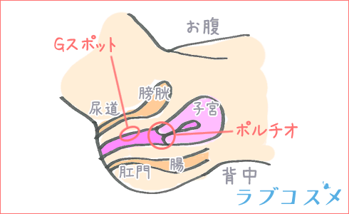 南原香織(南原かおり)出演】エロい騎乗位をする女達（１） | 宅配アダルトDVDレンタルのTSUTAYA