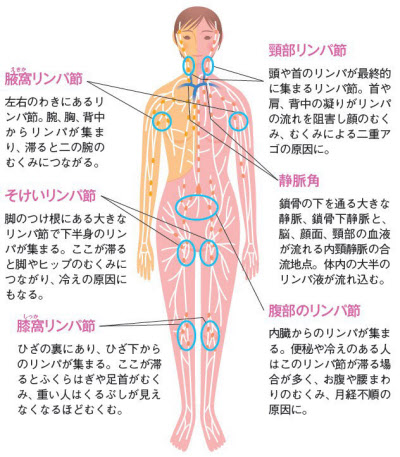 【〇〇を摘むだけ】全身の脂肪がドバドバ流れるリンパマッサージ！