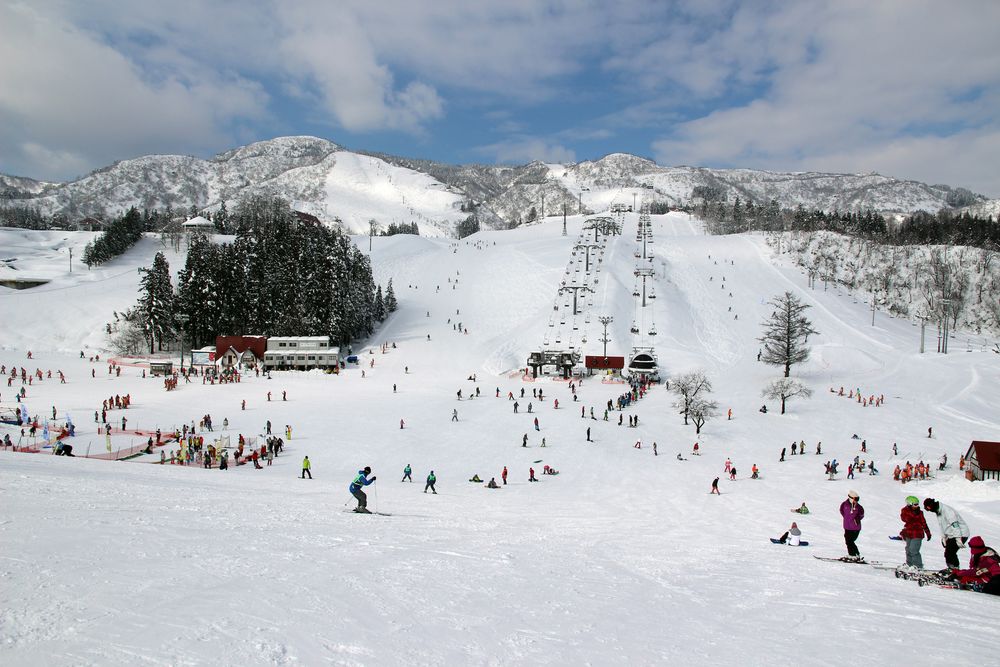 2024年 山下達郎ライブ行ってきた（3年連続）│ばっきーのテキトー日記