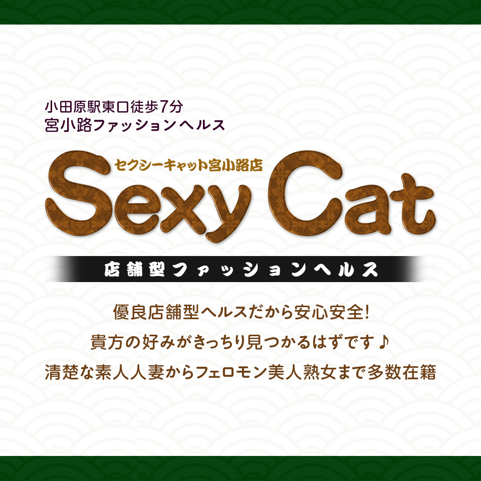 セクシーキャット 宮小路店（セクシーキャットミヤコウジテン）［小田原 店舗型ヘルス］｜風俗求人【バニラ】で高収入バイト