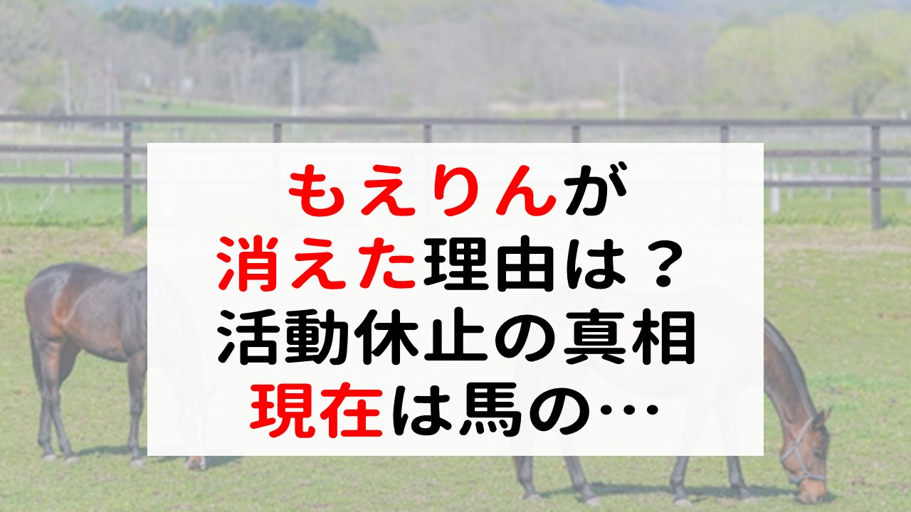 突然消えたyoutuberもえりんの今は？占ってみた！ - tikurakuakityanのブログ