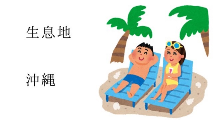 先日、松戸オープンに参加してきました。結果は惨敗でしたが、課題が見つかったので2025年も頑張って卓球やりまーす。  終わったらチームの忘年会で焼肉食べました。一杯飲んで食べて話して、楽しかったです。 来年もとらべら〜ずをどうぞ宜しくお願い致します🎅🎅