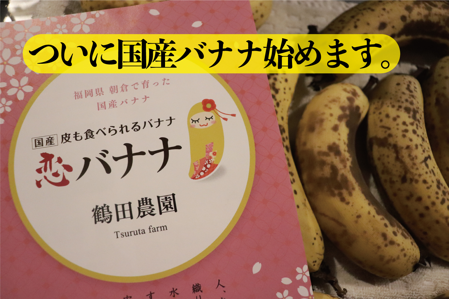 熟恋バナナ『中高年向け、近場で気軽に友達作り』