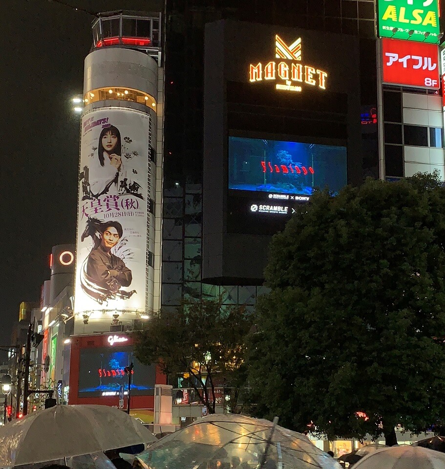 渋谷 夜 閉店 カフェフラミンゴの写真素材