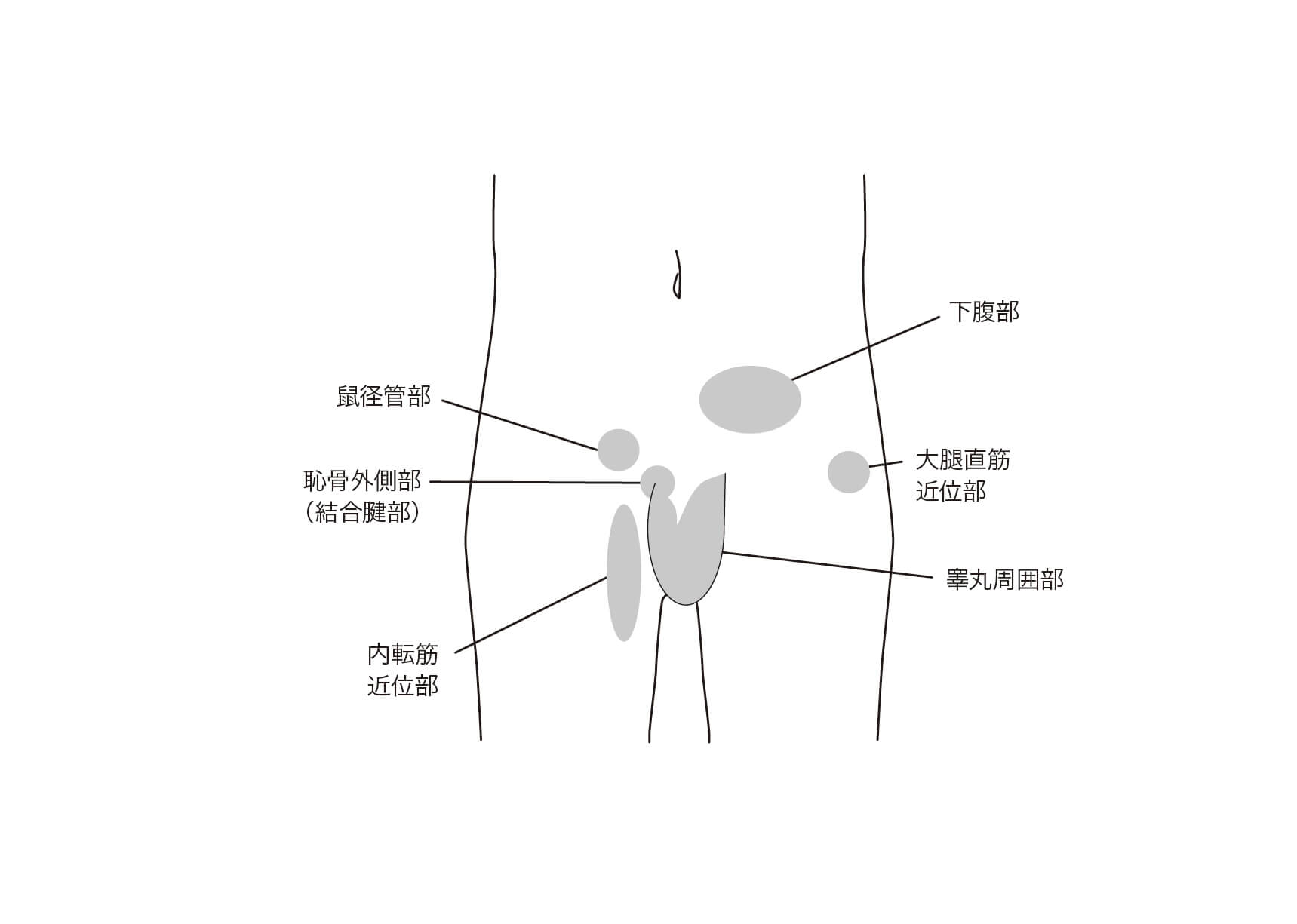 キンタマ（睾丸）はでかい方がいい？睾丸のサイズに関する医学的考察 – メンズ形成外科