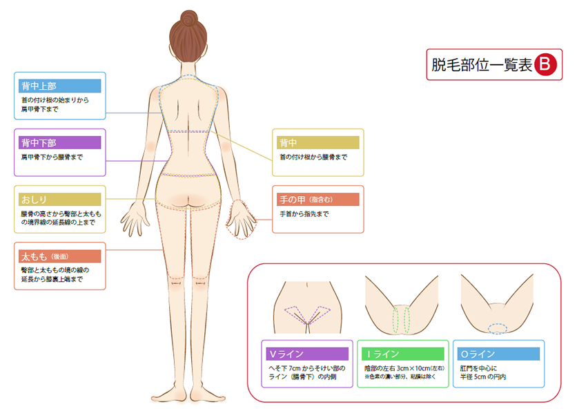 大動脈ステントグラフト（６） | 大動脈瘤・解離の専門医｜川崎大動脈センター 川崎幸病院