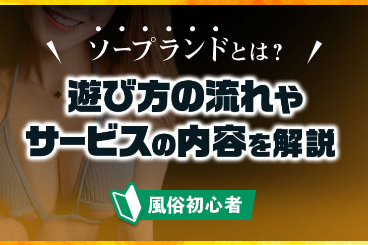 全身泡ソープ 詰めかえ用2回分 800ml (ベーシック) –