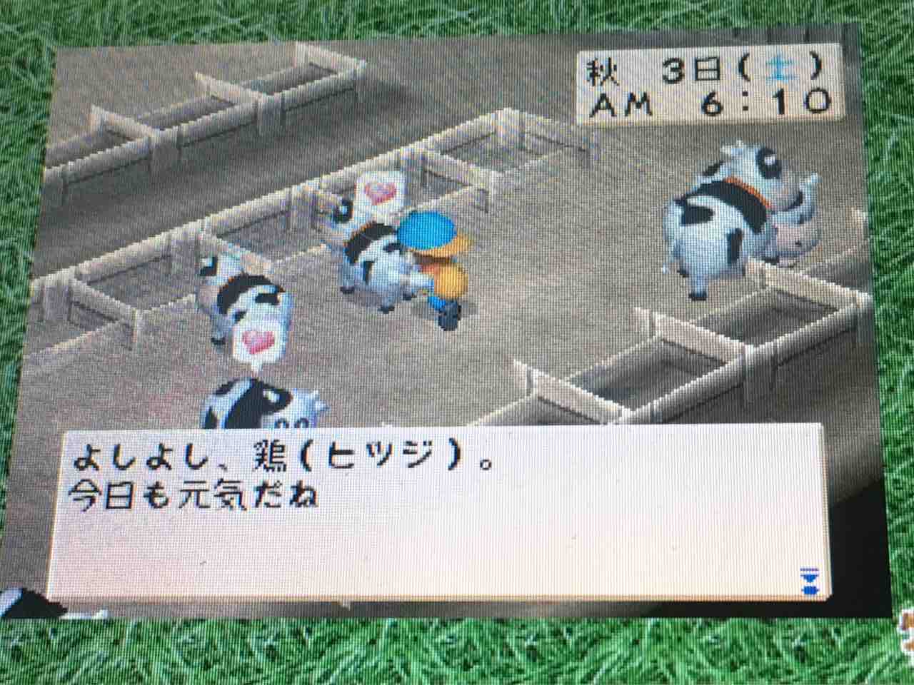 HARVEST MOON(ハーベストムーン)の周辺情報 | Holiday