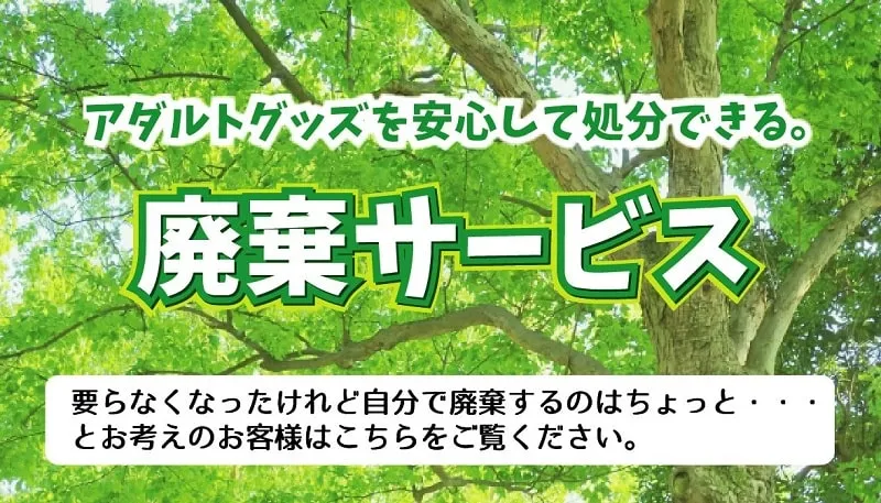 オナホの捨て方が知りたい！正しい処分方法を押さえて自慰を満喫しよう。 | VOLSTANISH