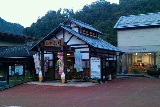 天空回廊・恋人の聖地】上野スカイブリッジってどんな所？【道の駅上州おにしでダムカレーを食べたよ】群馬県上野村【オススメ観光スポット】 - YouTube