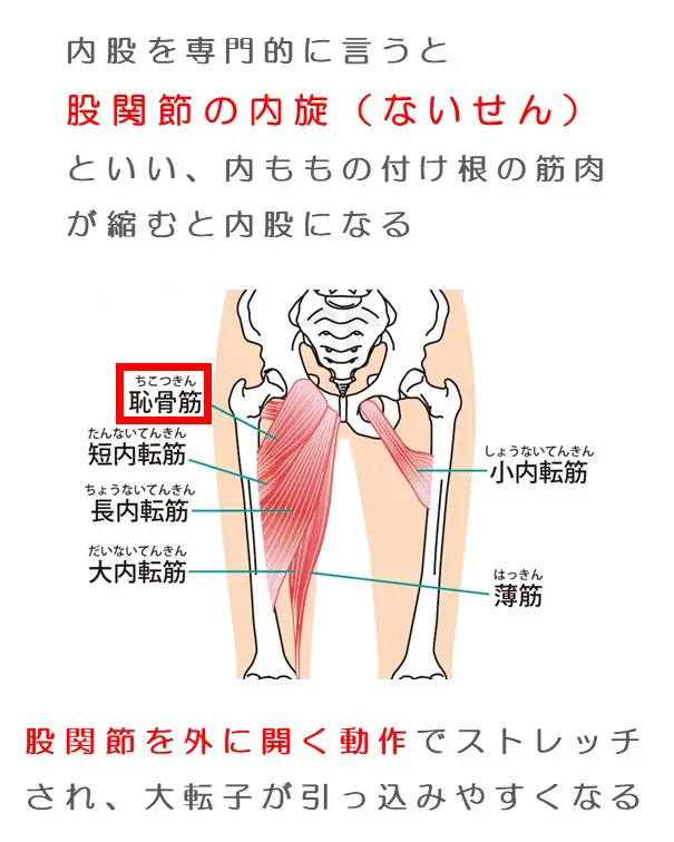 何を信じるか | 大好きなトレーニングと美容と エスパルス