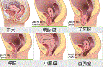 楽天Kobo電子書籍ストア: 避妊が嫌いな彼女と泣くほど気持ちいいセックスを - 自己投影して、膣内に射精している感覚を味わえる