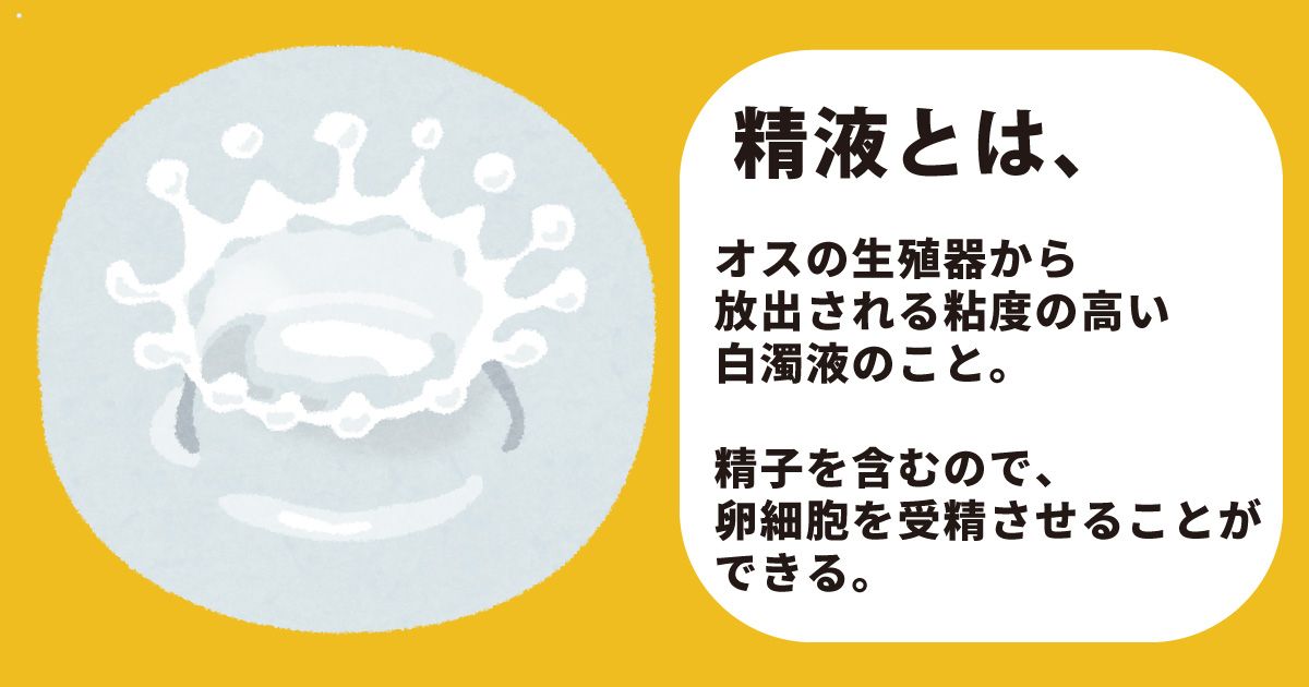 閉塞性の無精子症。 │【医師監修】ジネコ不妊治療情報