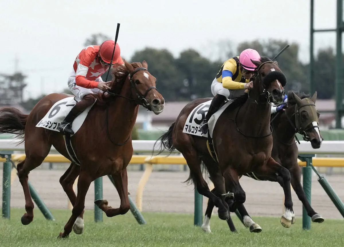 レース予想】東京５Ｒ・３歳１勝クラス : ハイブリッド競馬新聞