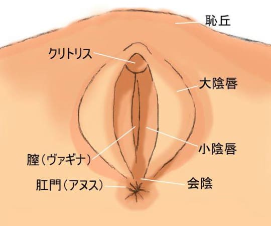 ☆C妹の記録 はる① 手マン クンニ