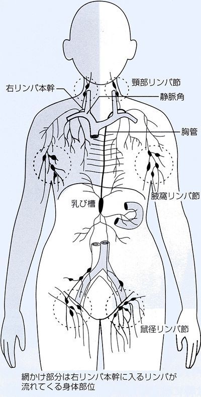 メンズエステというお仕事① | アロマギルド和光市店