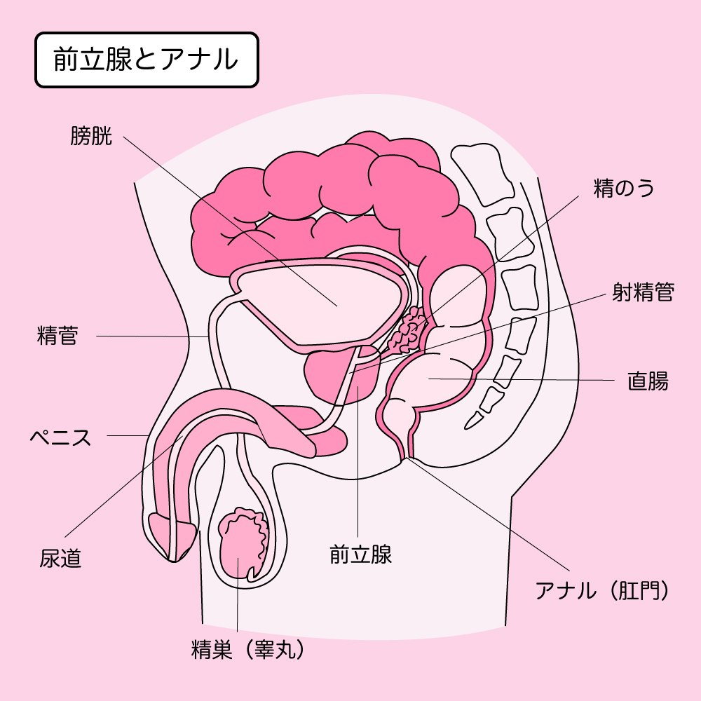 サムソンビデオ公式サイト - 「二股」男同士アナルセックス（新編集版）