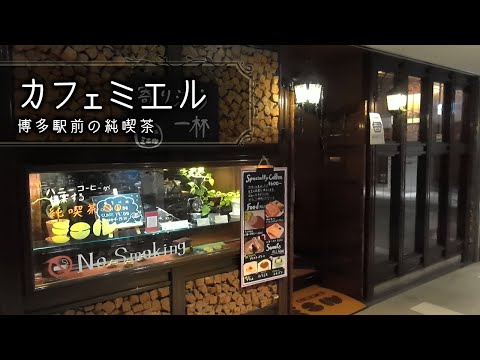 博多駅前】ハニー珈琲初の喫茶業態「カフェ・ミエル」がオープン！ | CAFE@TRIBE｜福岡のカフェ情報サイト カフェ・トライブ