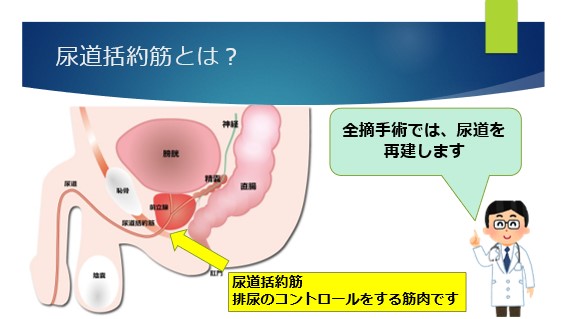 前立腺がん診断の進歩：MR/US fusion 生検　鴨井 和実