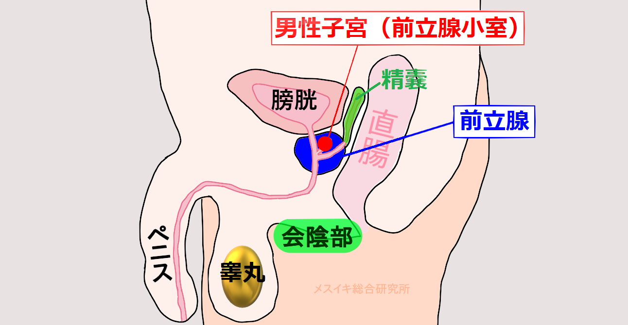 風俗エステでも体験できる「メスイキ」とは？メスのようにイキまくるコツを伝授！｜エステの達人マガジン