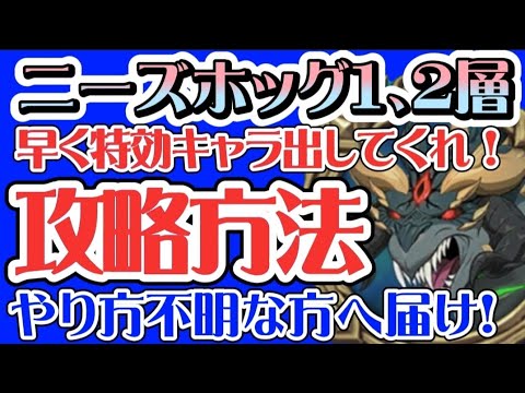 新魔獣戦ニーズホッグ　真似れば誰でも100％勝てる！簡単攻略クリアパーティ紹介　1層攻略　魔神族聖物作れる！【グラクロ】【七つの大罪〜グランドクロス】