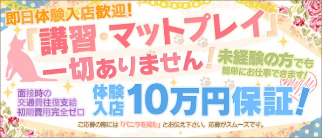 吉原の体験入店(体入)可風俗求人【はじめての風俗アルバイト（はじ風）】