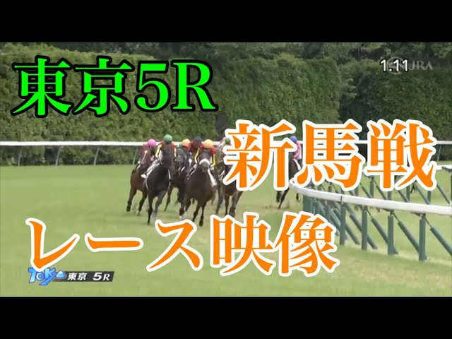 東京5R新馬戦】東の一番星はウィンターベル ゲート入りごねるも走りはスムーズ 直線で粘る逃げ馬ねじ伏せる：中日スポーツ・東京中日スポーツ