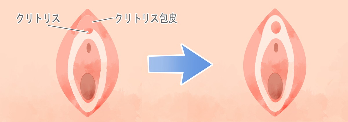 栗の皮」の正しいむき方、ご存じですか？ by栗＆リス | シランケンの不純愛講座