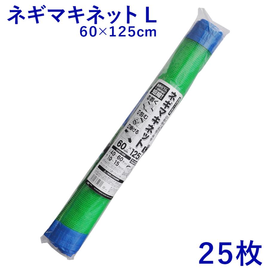 即日発送！天底型 光の黄金櫃 デッキ