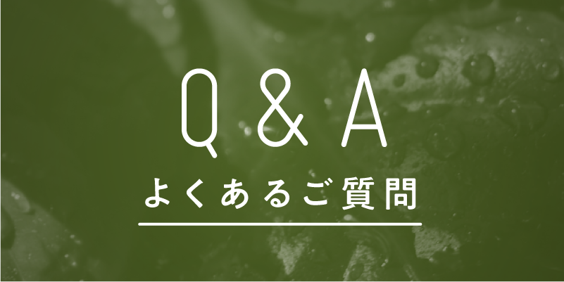 女性用風俗のサービス（プレイ）内容16項目！事前準備のポイントも！ | はじ風ブログ