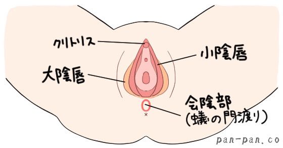 上手な前戯のコツとは？女性を満足させる愛撫のやり方を徹底解説。 | VOLSTANISH