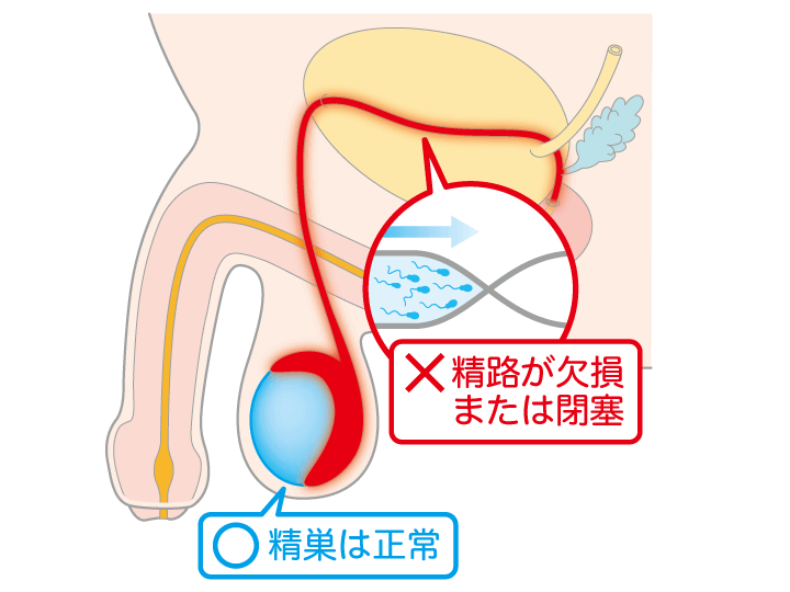 人間と性”教育研究協議会/Seikyokyo