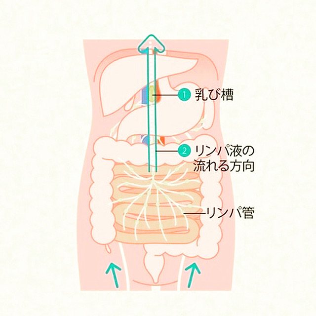 癒し空間 オアシス奈良