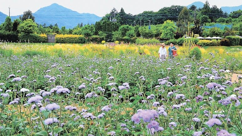 草津エステ・アロママッサージ｜滋賀・兵庫・大阪・京都エリアのリラクゼーションサロン【ナチュラルガーデン】