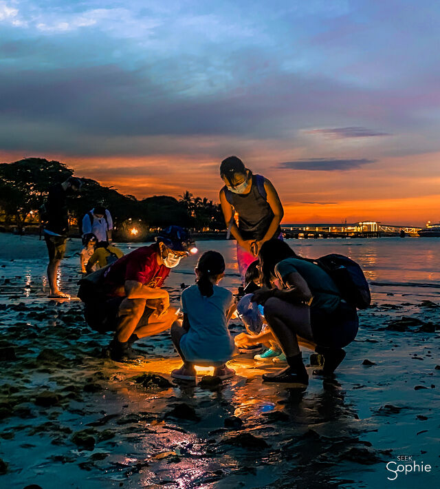 インド旅行での夜遊び【おすすめナイトスポットを紹介！】 – ZUKI