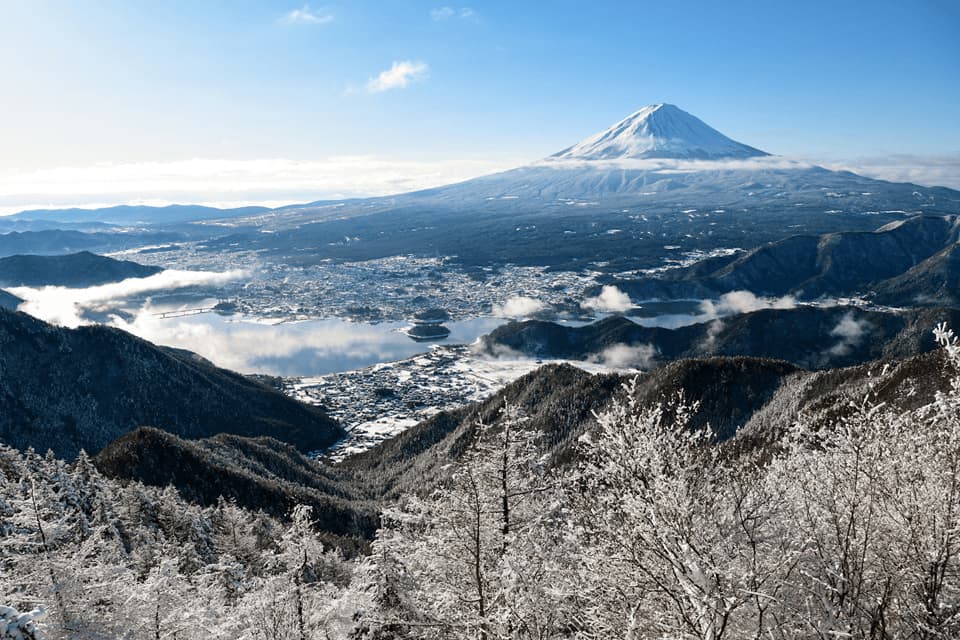 旅亭 半水盧#2 静寂と自然の美しさに包まれた贅沢な時間。5000坪の敷地にたった14棟の離れ宿を探訪します｜