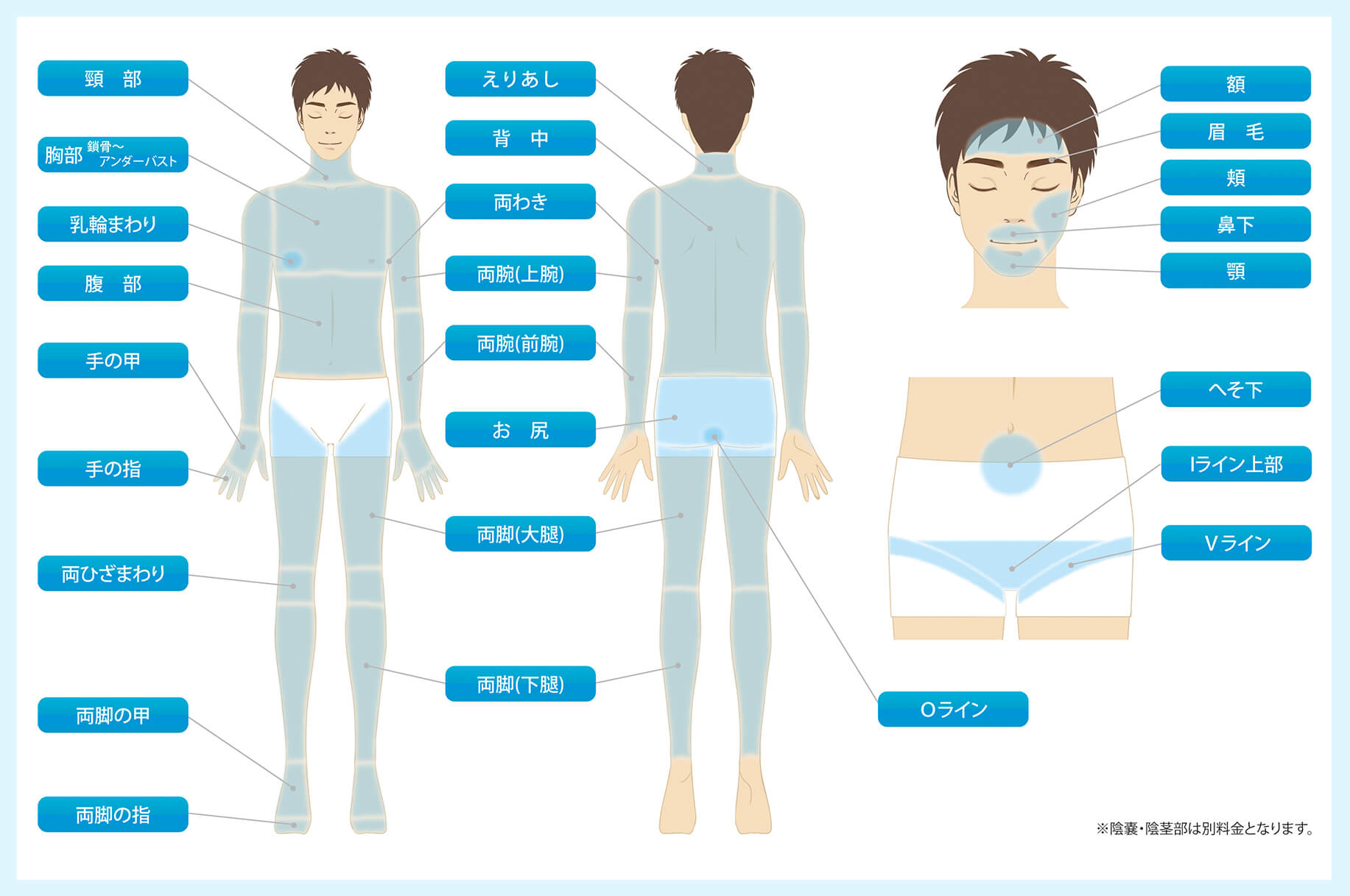 メンズ脱毛はどこまですべき？人気の部位とどこまですべきか悩む人の対処法