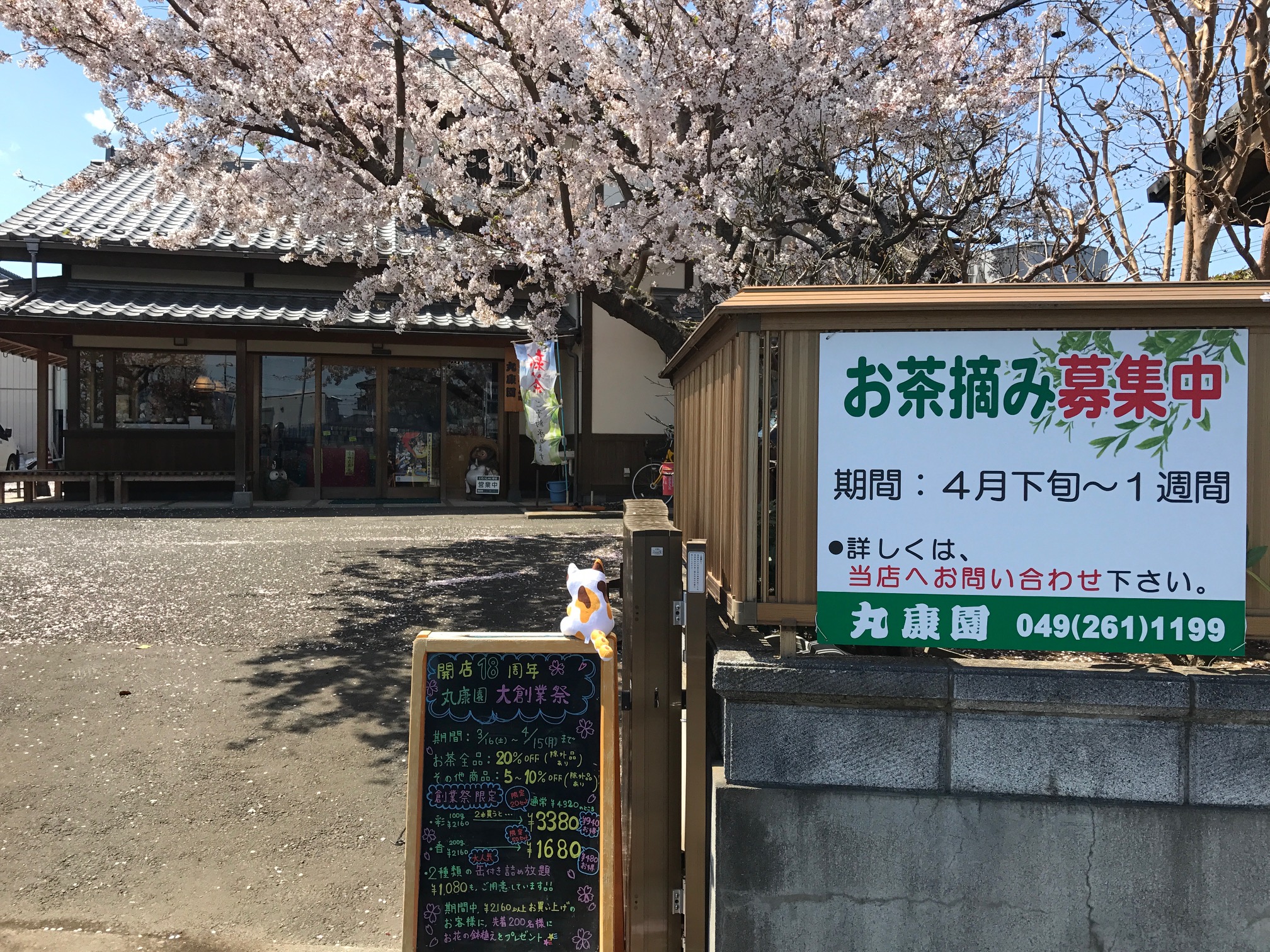 プーアル茶専門店翠康園茶屋 - Yahoo!ショッピング