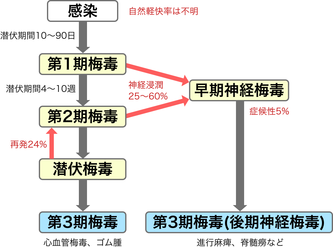 性病回避】既婚男性が風俗に行きたいなら手コキオナクラか風俗エステにしておくべき理由