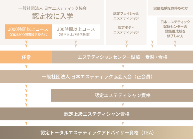 エステサロンで使用される業務用エステ機器の種類・特徴を解説 - 美活コラム