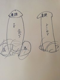 泌尿器専門医が解説】異物を入れずにカリ高ペニスを作る唯一の方法