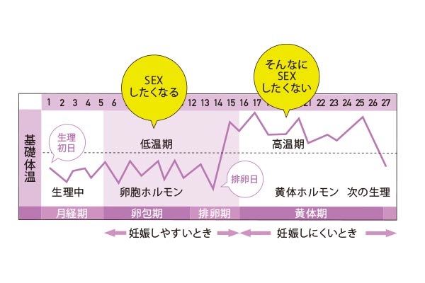 女性のからだというのは – Dr.