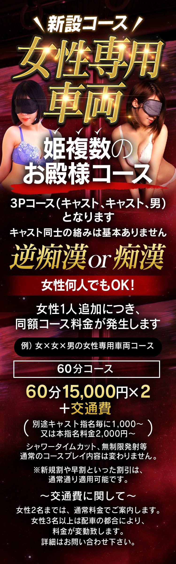 駿河屋 -【アダルト】<中古>痴漢師に複数のローターをぶち込まれガニ股で脚を震わせイキまくるニーハイ女子○生 2（ＡＶ）