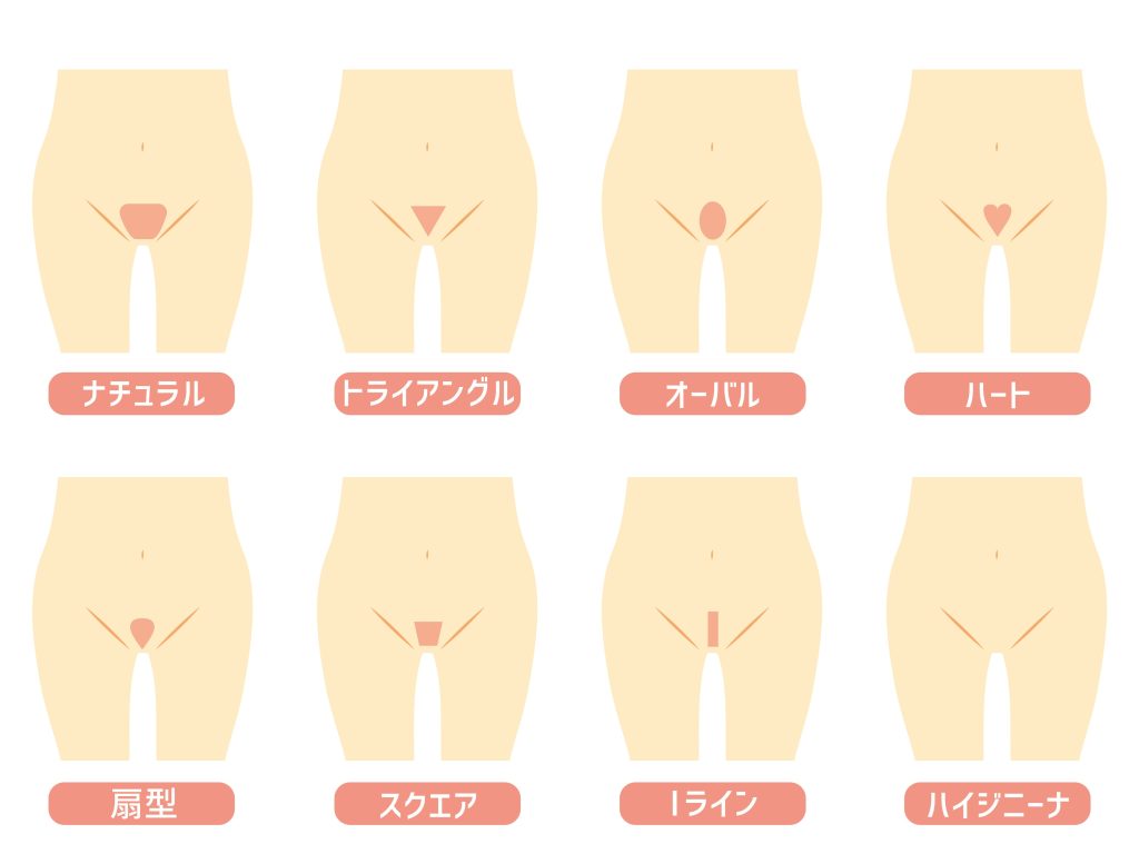 最新版】チン毛の処理方法｜下の毛のチクチク対処法は髭剃りやシェーバーより脱毛がおすすめ！ | MOTEO