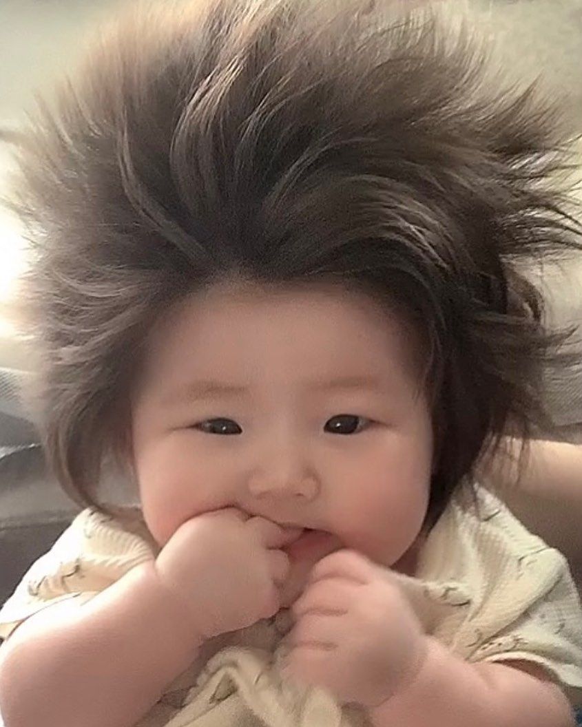 リアルモンチッチ！ふわふわヘアーの爆毛赤ちゃん、生後5カ月で迫力のボリューム 気になるその後を取材した｜まいどなニュース