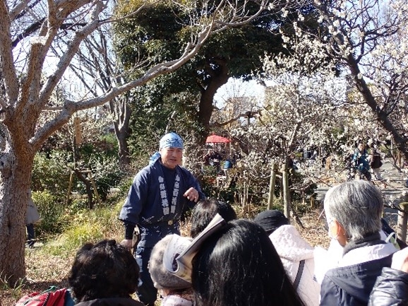 向島百花園（東京都墨田区）スマホで使える♪電子入園チケット | ジョルダンクーポン