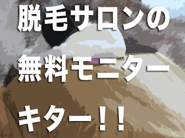 うおォン、俺はまるで人間自家発電機！と、止まらねぇー！「ピスはめ！」上巻 : アサガヲBlog