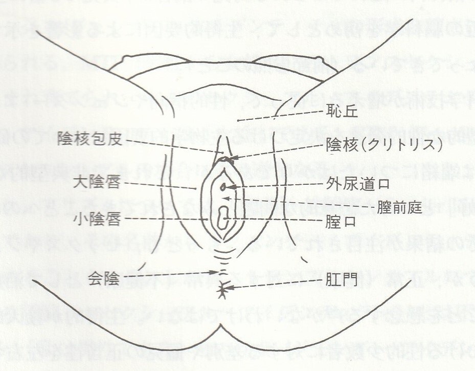 女性が感じる仕組みとは？オーガズムとスキーン腺の関係について解説 | コラム一覧｜ 