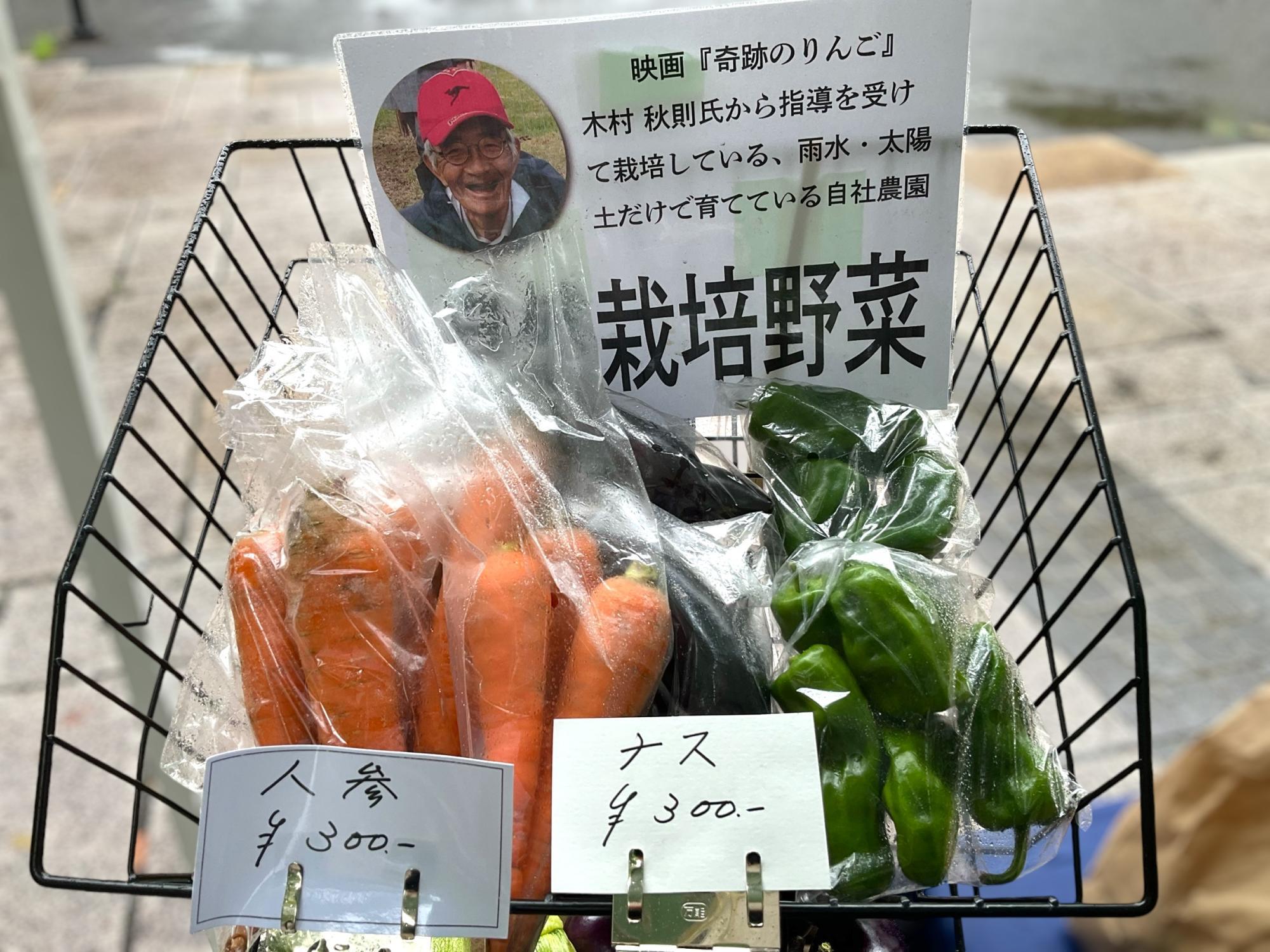 北海道スプリントC】武豊「非常に素質を感じる馬」チカッパが交流重賞初制覇 | 競馬ニュースなら競馬のおはなし